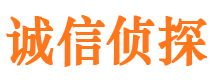 白沙市私家侦探